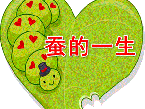 大班科学活动《蚕的一生》PPT课件教案大班科学课件《蚕的一生》PPT课件.ppt