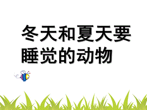 大班科学《冬天和夏天睡觉的动物》PPT课件大班科学--冬天和夏天要睡觉的动物.ppt
