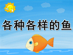幼儿园科学认知《各种各样的鱼》PPT课件教案PPT课件.ppt