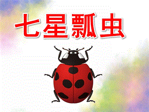 大班手工《七星瓢虫》PPT课件教案(大班手工课)七星瓢虫.ppt