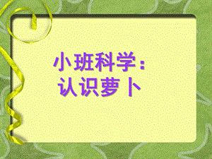 小班科学《萝卜》PPT课件教案小班科学：认识萝卜.ppt