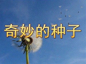 大班科学《奇妙的种子》PPT课件教案PPT课件.ppt