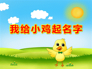 我给小鸡起名字PPT课件教案PPT课件.ppt
