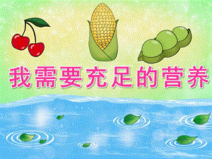 大班健康《我需要充足的营养》PPT课件教案PPT课件.ppt