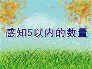 小班数学《感知5以内的数量》PPT课件教案感知5以内的数.ppt