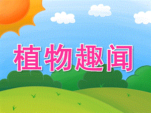 大班科学《植物趣闻》PPT课件教案PPT课件.ppt