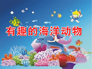 大班科学《有趣的海洋动物》PPT课件大班科学：有趣的海洋动物.ppt