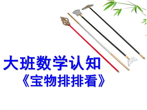 大班数学认知《宝物排排看》PPT课件教案.ppt