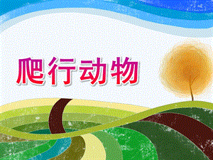 幼儿园《爬行动物》PPT课件ppt课件.ppt