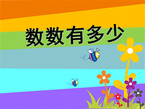 小班数学活动《数数有多少》PPT课件教案.ppt