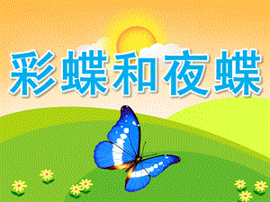 大班科学《彩蝶和夜蝶》PPT课件教案PPT课件.ppt