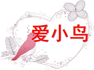 大班社会《爱小鸟》PPT课件教案大班社会爱小鸟-.ppt