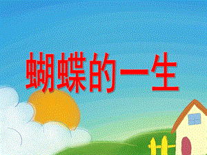 大班科学活动《蝴蝶的一生》PPT课件教案.ppt