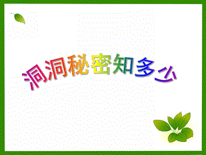 大班健康《洞洞秘密知多少》PPT课件0309-公开课-洞洞秘密知多少-大班科学&健康-祁琦.ppt