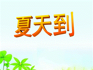 大班公开课《夏天到》PPT课件公开课《夏天到》.ppt