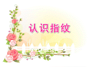 幼儿园《认识指纹》PPT课件认识指纹.ppt