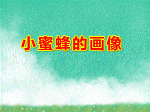 大班美术课件《小蜜蜂的画像》PPT课件教案蜜蜂PPT课件.ppt
