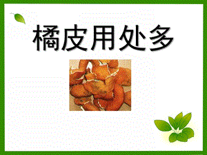 大班科学《橘皮用处多》PPT课件教案大班-有用的植物-橘皮用处多.ppt