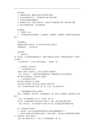 中班科学《亲亲影子》PPT课件教案参考教案.docx