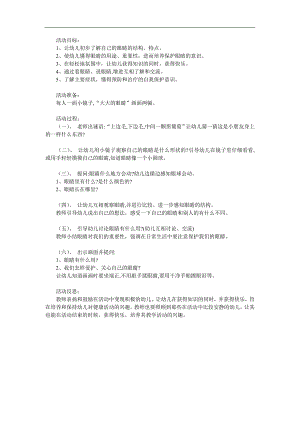 小班健康《保护大眼睛》PPT课件教案参考教案.docx