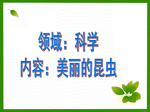 大班科学《美丽的昆虫》PPT课件大班科学：美丽的昆虫.ppt
