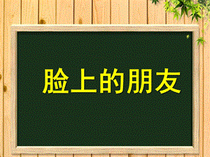 小班健康《脸上的朋友》PPT课件教案小班：脸上的朋友.ppt