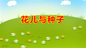 大班科学《花儿与种子》PPT课件大班科学《花儿与种子》PPT课件.ppt