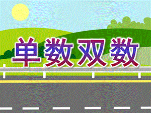 大班数学活动《单数双数》PPT课件教案单数双数.ppt