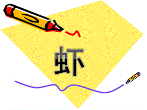 大班美术欣赏《虾》PPT课件教案幼儿园-大班欣赏-虾.ppt