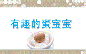 大班科学《有趣的蛋宝宝》PPT课件教案《有趣的蛋宝宝》(课件.ppt