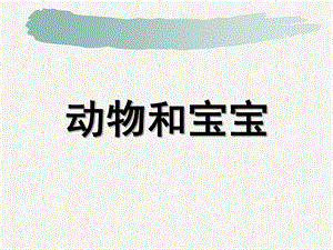 小班语言《动物宝宝和妈妈》PPT课件教案.ppt