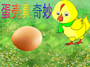 大班科学活动《蛋壳真奇妙》PPT课件教案音乐蛋壳真奇妙.ppt