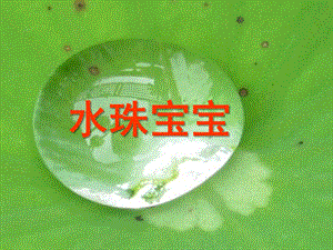 小班语言儿歌《水珠宝宝》PPT课件教案水珠宝宝.ppt