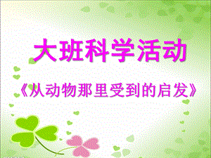 大班科学《从动物那里受到的启发》PPT课件从动物那里受到的启发.ppt