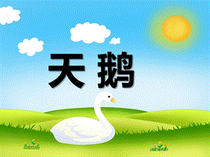幼儿园动物儿歌《天鹅》PPT课件音频PPT课件.ppt