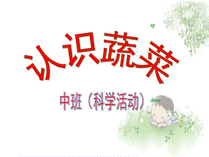 幼儿蔬菜PPT课件幼儿蔬菜.ppt