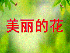 大班科学《美丽的花》PPT课件教案大班科学-美丽的花.ppt