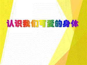 大班安全教育活动《认识我们可爱的身体》PPT课件大班安全教育活动《认识我们可爱的身体》PPT课件.ppt