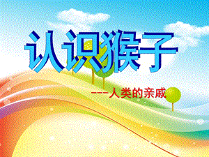 幼儿园科学《认识猴子人类的亲戚》PPT课件ppt课件.ppt