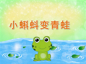 中班科学《小蝌蚪变青蛙》PPT课件教案视频PPT课件.ppt