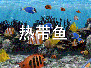 大班艺术彩泥《热带鱼》PPT课件彩泥《热带鱼》.ppt