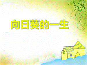 大班科学活动《向日葵的一生》PPT课件大班科学活动《向日葵的一生》PPT课件.ppt