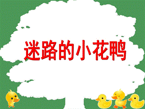大班音乐《迷路的小花鸭》PPT课件教案说课稿PPT课件.ppt