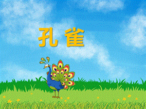幼儿园动物儿歌《孔雀》PPT课件音频PPT课件.ppt