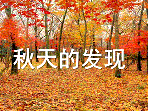 幼儿园《天的发现》PPT课件ppt课件.ppt