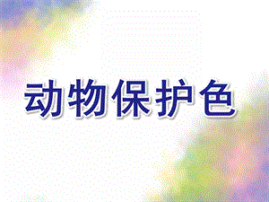 大班科学公开课《动物保护色》PPT课件教案动物保护色.ppt
