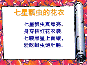 大班美术《七星瓢虫的花衣》PPT课件教案七星瓢虫的花衣------幼儿园大班.ppt