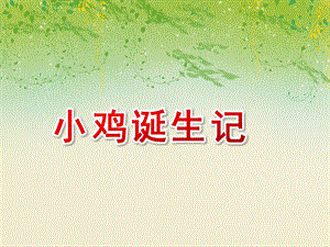 小班科学《小鸡诞生记》PPT课件小班科学《小鸡诞生记》.ppt