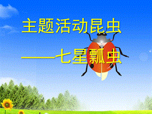 大班科学主题活动《七星瓢虫》PPT课件教案大班七星瓢虫.ppt