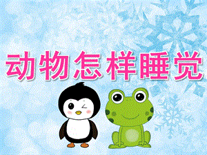 大班科学《动物怎样睡觉》PPT课件教案PPT课件.ppt